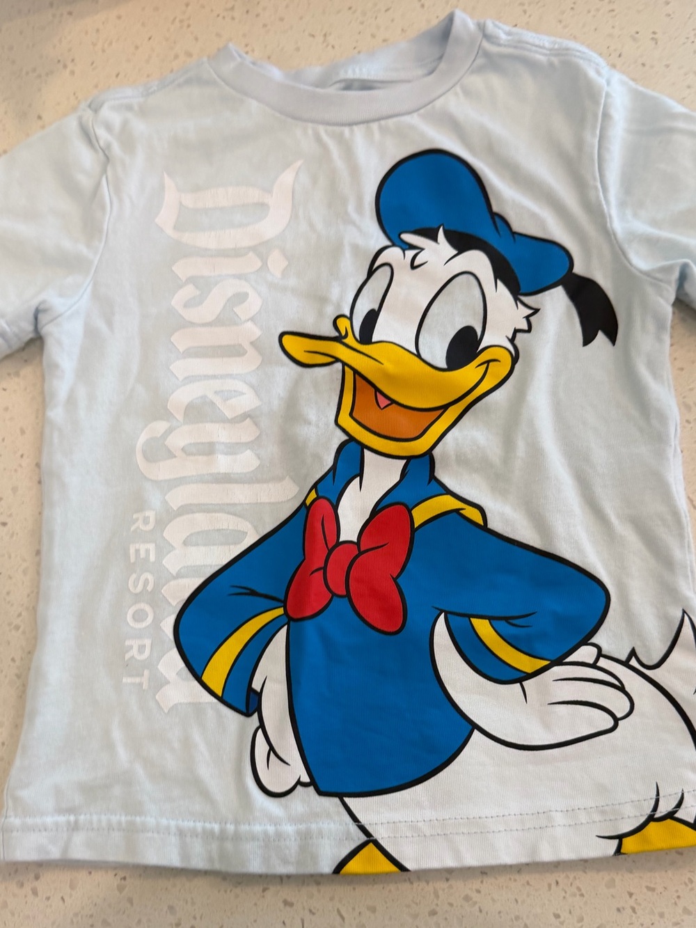 Disneyland Light Blue Donald Duck Graphic Tee with Bold Blue & Yellow